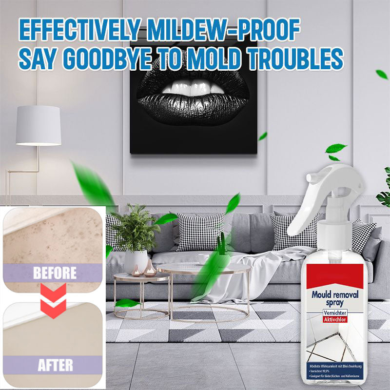All-purpose Mildew Removal Spray(Buy 2 Get 1 Free)